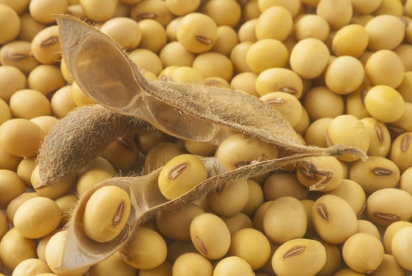 BATAN hasilkan dua varietas kedelai baru super genjah jurnalsumatra,DKIjakarta,jakarta