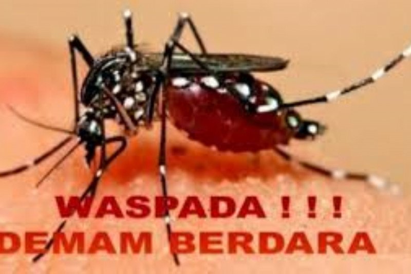 Dinas Kesehatan OKU imbau masyarakat waspada penyakit DBD