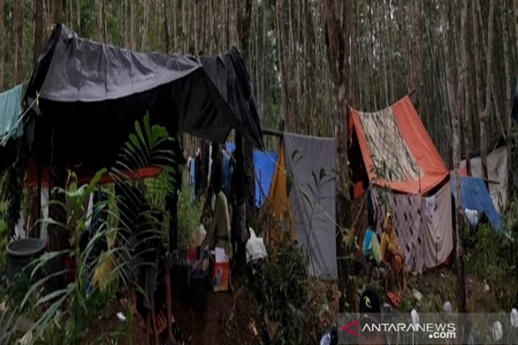 PMI Tapin prihatin 500 pengungsi tinggal di tenda terpal