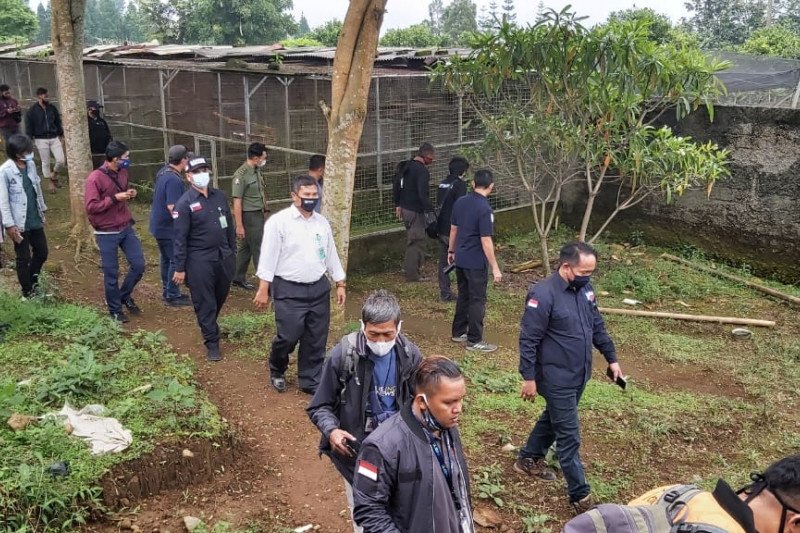 Polri sita 184 satwa dilindungi dari penangkaran di Cicurug Sukabumi jurnalsumatra,DKIjakarta,jakarta