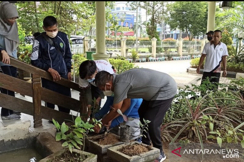DPMPD Kaltim canangkan penanaman toga di kantor