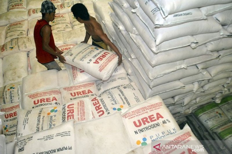 Kadistan Jatim Alokasi pupuk subsidi capai 2,8 juta ton tahun 2021