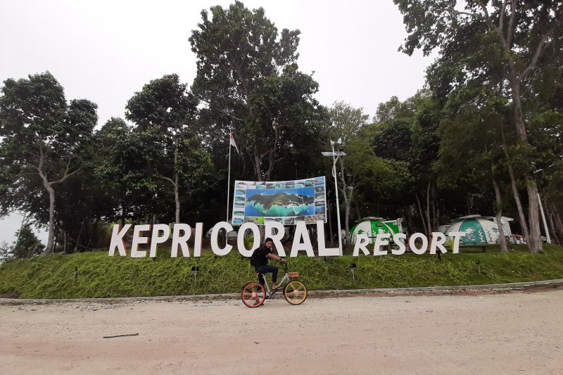 Kunjungan wisman ke Kepri tahun 2020 turun 85,64 persen
