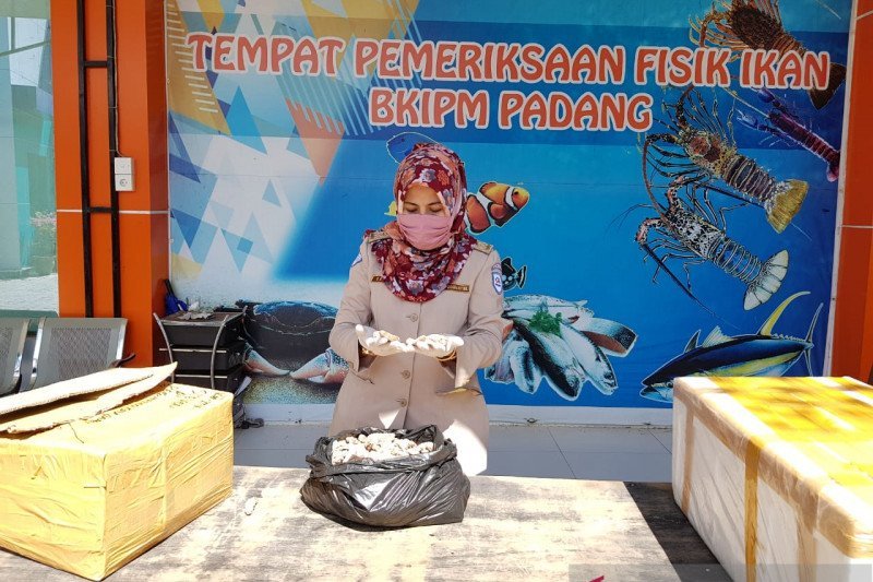 SKIPM Pengiriman hasil perikanan domestik Januari Rp19,08 miliar