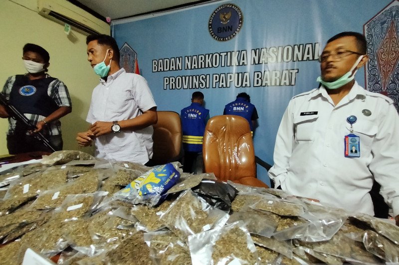 BNN Papua Barat gagalkan penyelundupan 6 kg ganja