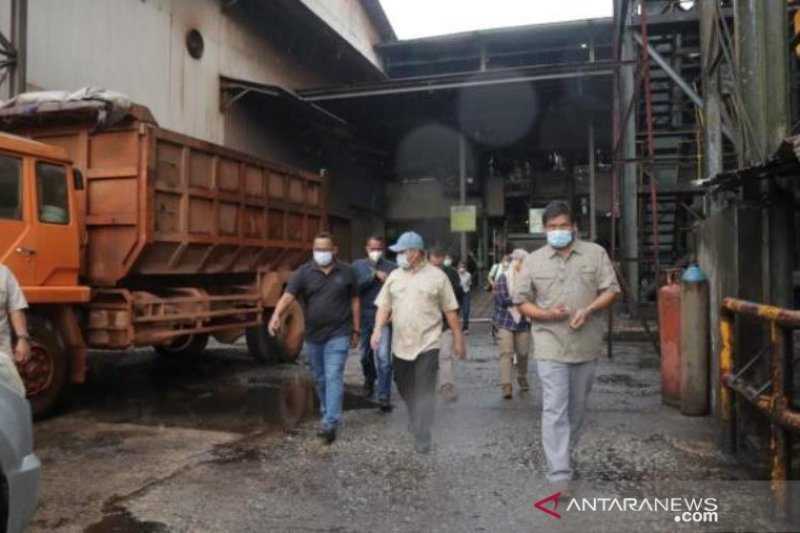 Babel gandeng perusahaan sawit tingkatkan pakan sapi