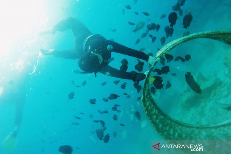 Disbudpar Aceh kembangkan potensi wisata di Pulau Banyak, Singkil
