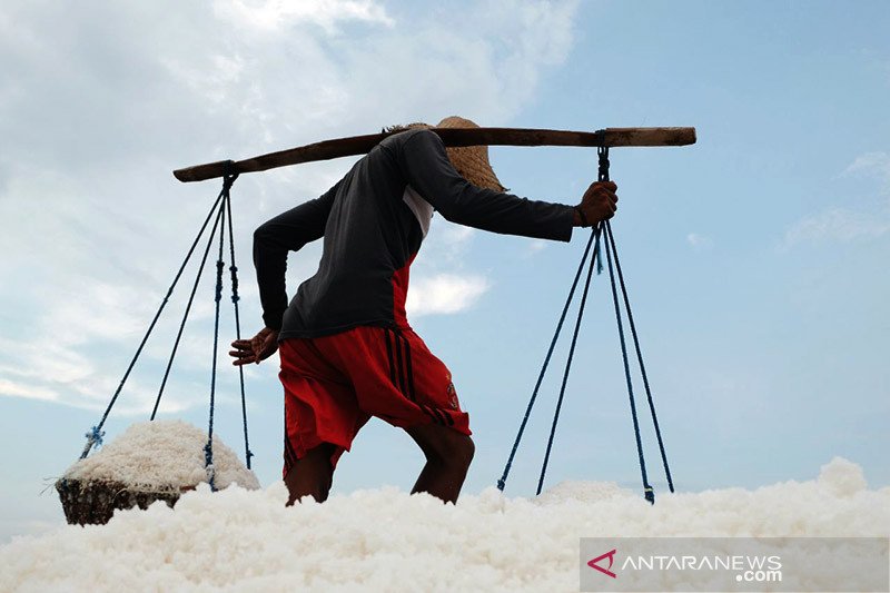 Memaksimalkan penyerapan komoditas garam hasil petambak nasional