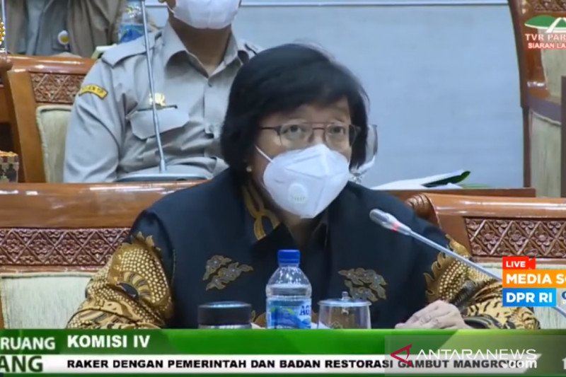 Pemerintah pastikan KLHS dilakukan dalam program ketahanan pangan