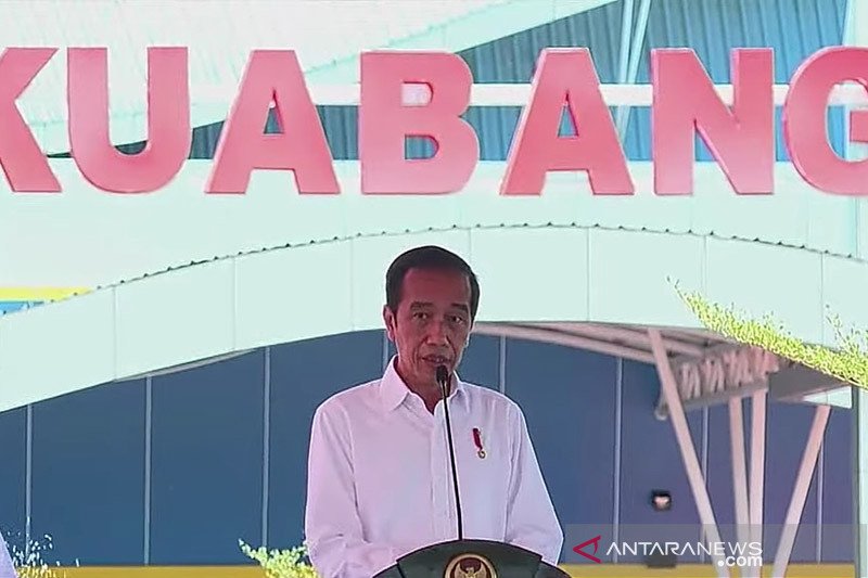 Presiden Jokowi Tetap atur rem dan gas untuk pemulihan ekonomi