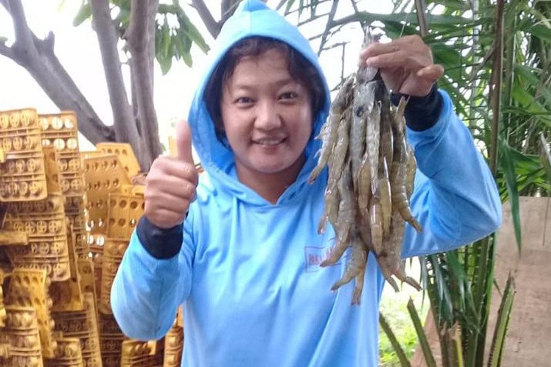 Teknologi eFishery tingkatkan produksi budi daya udang dan ikan