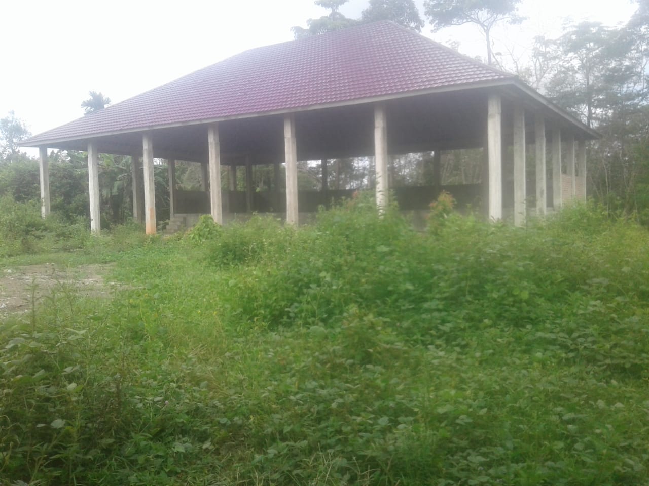 WhatsApp Image 2021-03-24 at 12.49.26