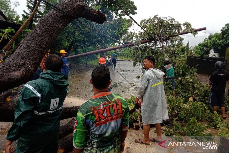 PLN Sulselbar pulihkan 96 persen gardu listrik terdampak cuaca ekstrem
