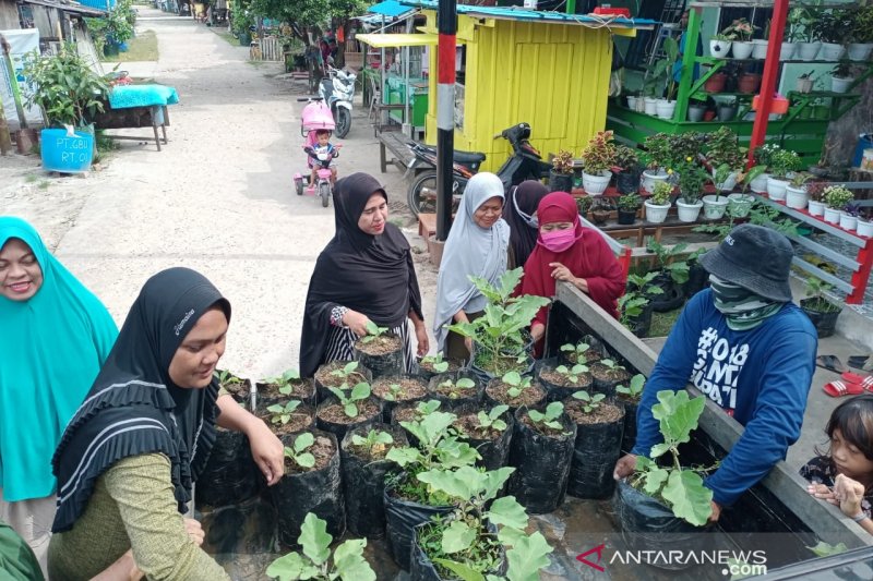 Lurah Jenebora Penajam ubah permukiman jadi hijau