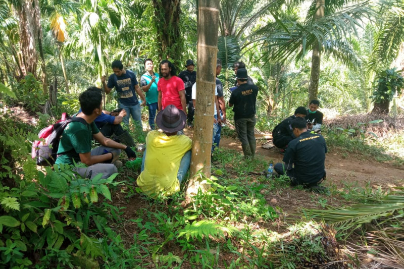 Seluas 426 hektare hutan Cagar Alam Maninjau dirambah untuk perkebunan