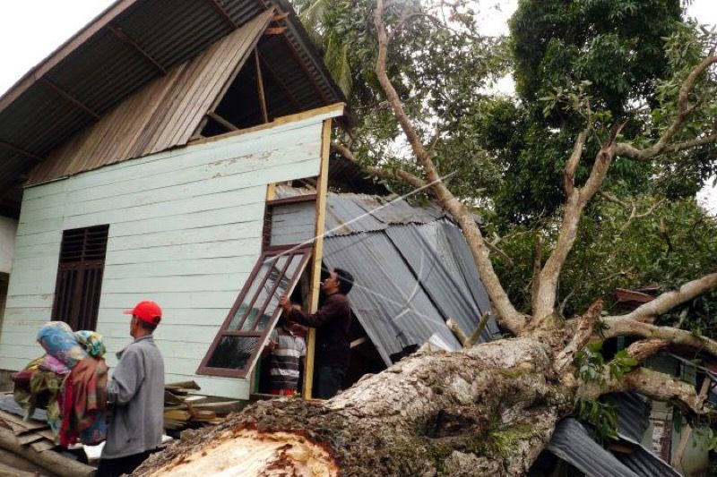 BMKG prakirakan angin kencang landa sebagian wilayah Indonesia