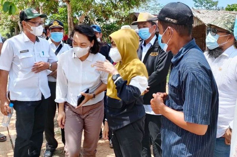 Pesisir Pulang Pisau berpotensi dijadikan kawasan hutan mangrove