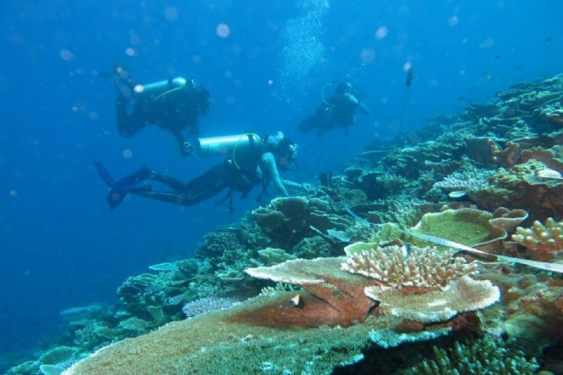 RUU Daerah Kepulauan bisa membantu pengelolaan pariwisata Papua