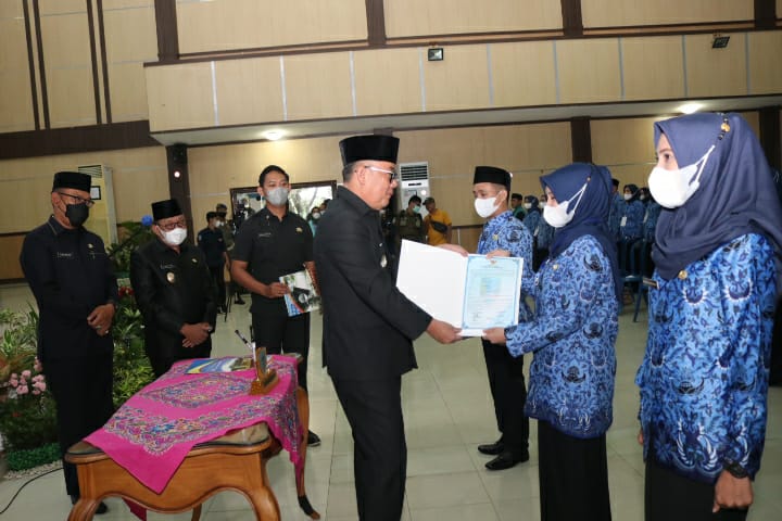 WhatsApp Image 2022-04-27 at 9.53.21 PM