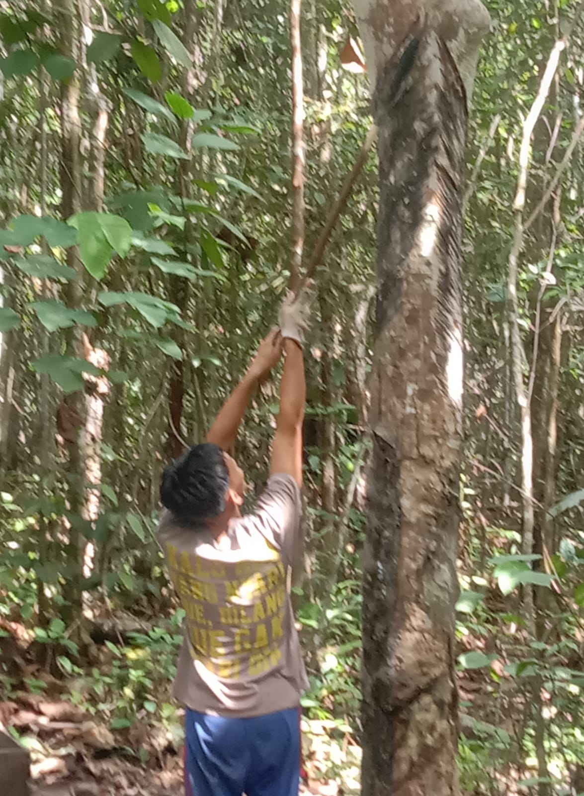 WhatsApp Image 2023-04-25 at 21.30.13