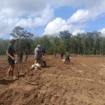 IMG-20260513-WA0049