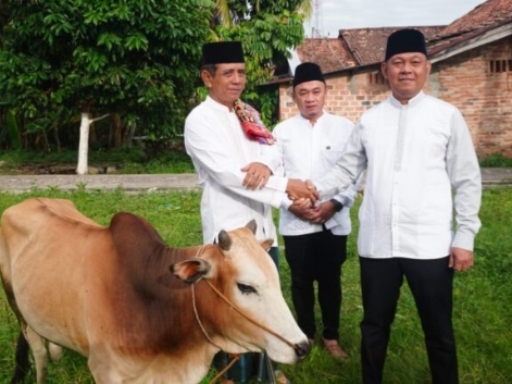 IMG-20260528-WA0000